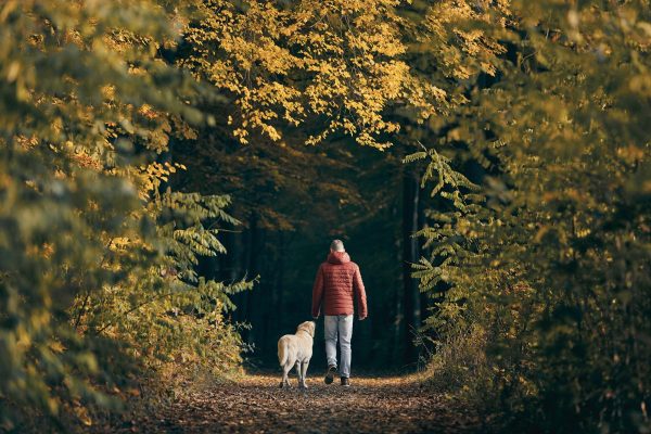 Unlock Your Team’s Best Thinking—No Showers Required If your leaders are constantly in ‘task mode,’ they’re likely missing out on their most powerful thinking. The best ideas don’t happen in the middle of back-to-back meetings—they happen when we create the right conditions for insight, strategy, and creativity to flourish. That’s where I come in. I help leaders and teams step outside their day-to-day environment and into a space where breakthrough thinking happens. If you’re ready to shift perspective, unlock new solutions, and drive real change, let’s talk. 📩 Get in touch at rupert@strongerhumans.com and let’s explore how to create the conditions for better thinking—no showers required.