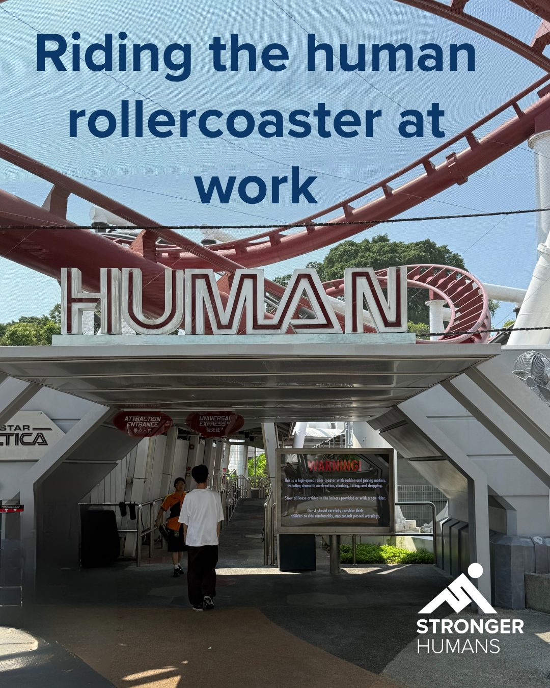 Riding the Human Rollercoaster at Work